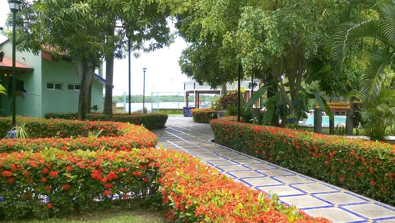 Hotel Marina 圣布拉斯 外观 照片